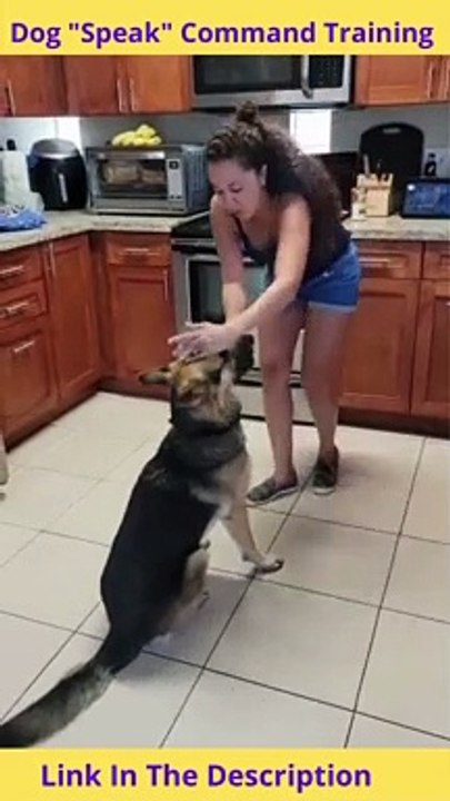Dog Speak Command Training | How to Teach a Dog to Speak on Command
