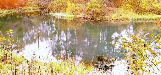 Краски осени