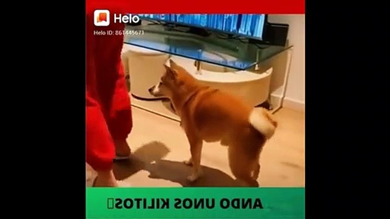 nhảy đê!!!!!