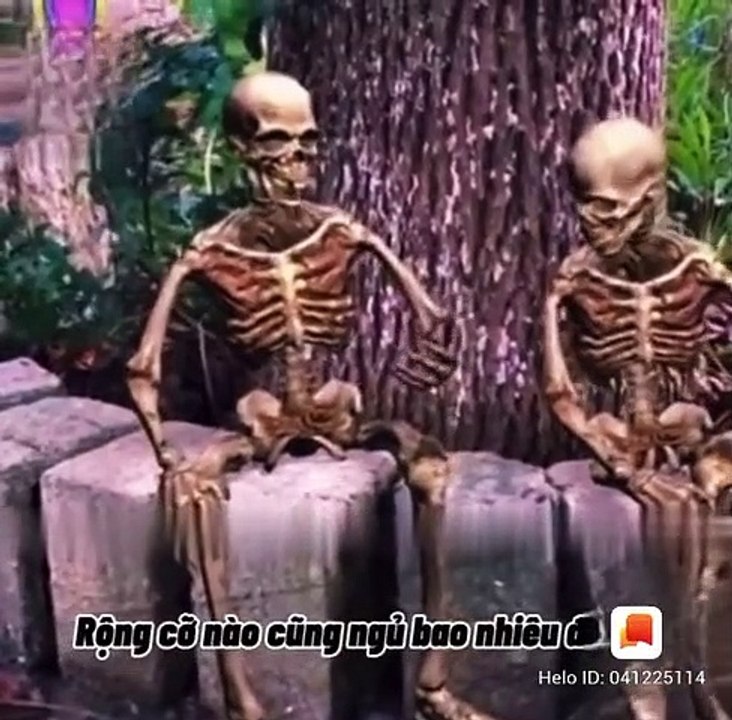 trái đất mình chỉ sống tạm thời thôi