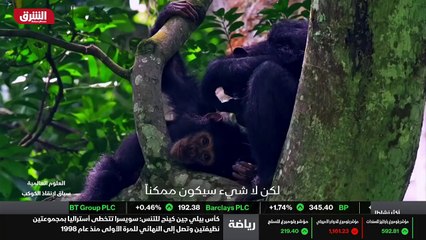 ...حل مشكلة بافات الكربون أو تصميم مواد بلا...