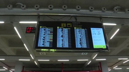 Espagne : un avion atterrit d'urgence, une vingtaine de personnes s'en enfuient