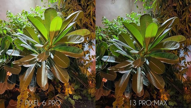 Google Pixel 6 Pro vs iPhone 13 Pro Max Camera T