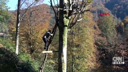 Bal ormanına taş ocağı için bilirkişi raporu: Ekolojik denge yok olur