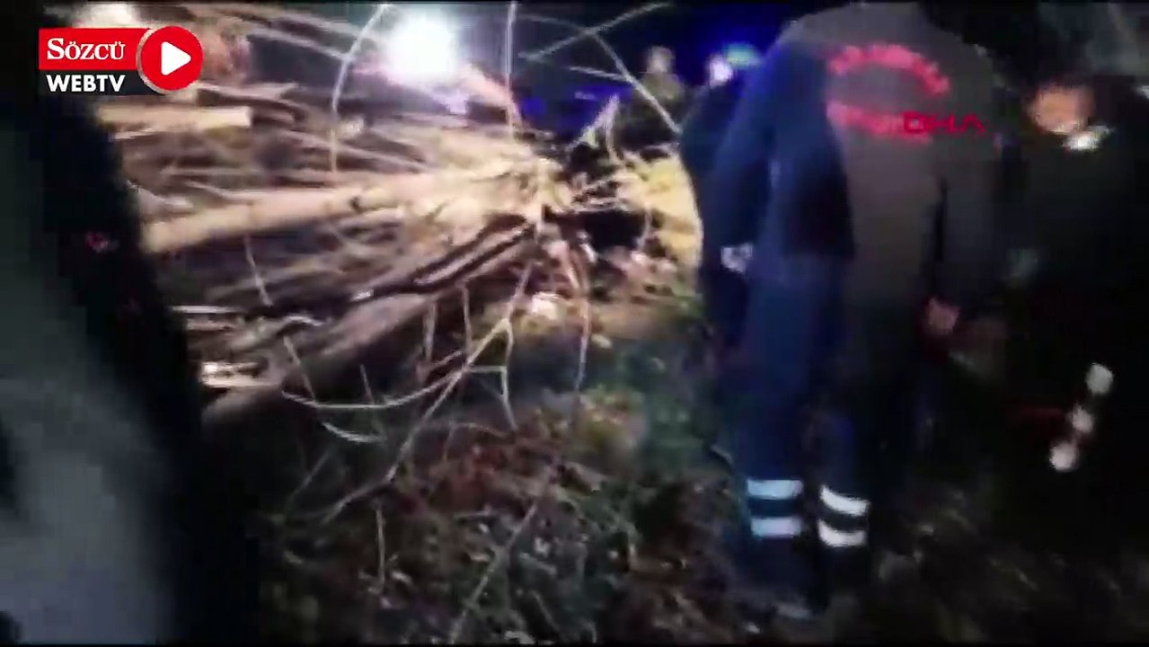 Kestiği ağacın altında kalarak hayatını kaybetti