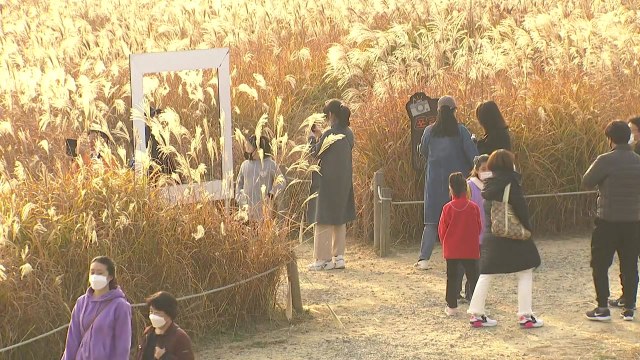 [날씨] 30년 만에 가장 따뜻한 '입동', 내일부터 기온 '뚝' / YTN