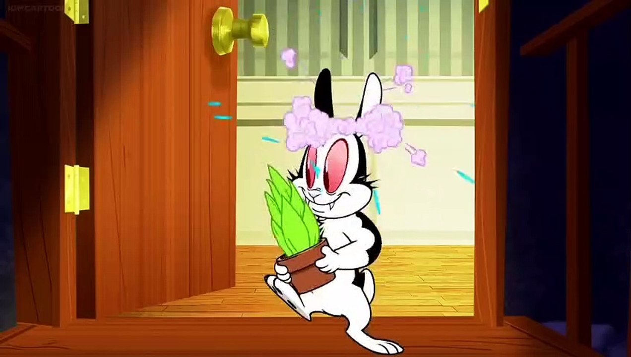 Bunnicula Termite Expansion