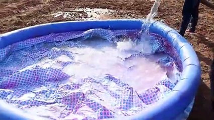 Swimming Pool Vs Big VIP  - क्या ये पूल बच पाएगा