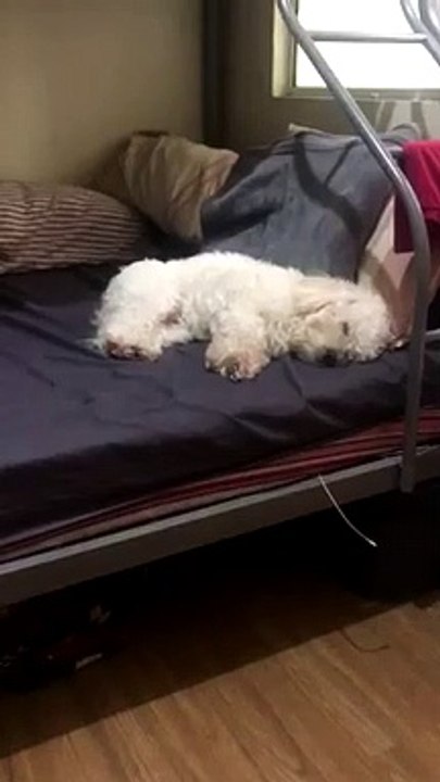sleeping