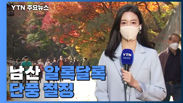 [날씨] 절정기 접어든 남산 단풍...둘레길 걸어볼까 / YTN