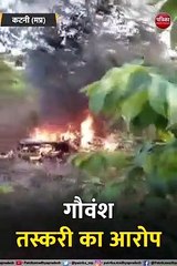 कटनी: गौवंश तस्करी का आरोप