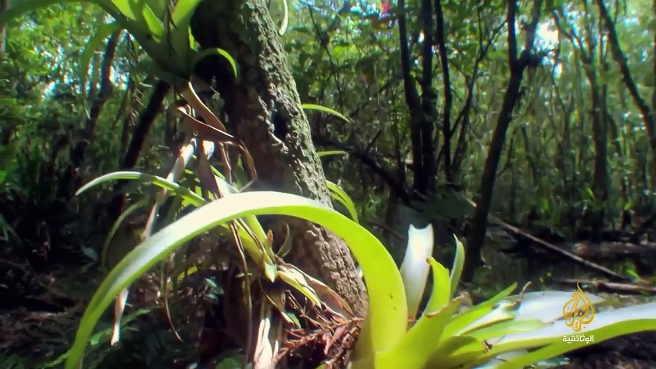 ناشونال جيوغرافيك أبوظبي _ وثائقي-  على حافة العالم... الفيضان والجفاف