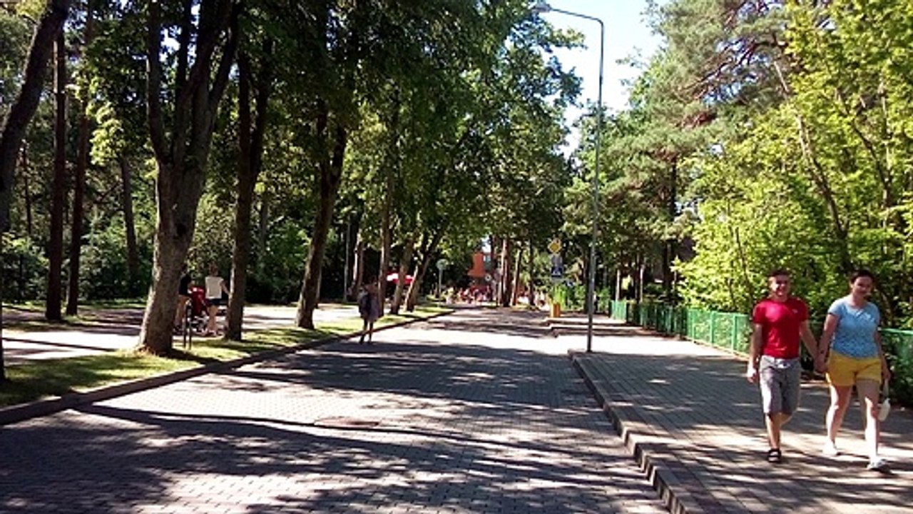 Виды Паланги