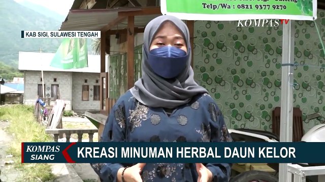 Minuman Herbal Daun Kelor Banyak Khasiat Untuk Kesehatan Tubuh!
