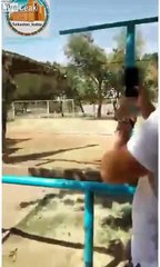 Un homme grimpe sur une Girafe au Zoo et la chevauche