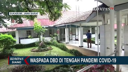 Descargar video: Kasus Demam Berdarah Dengue Meningkat, Warga Harus Waspada dan Jaga Kebersihan!