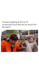 Why monkey smacks him I couldn't understand