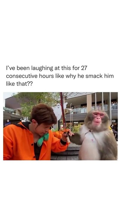 Why monkey smacks him I couldn't understand
