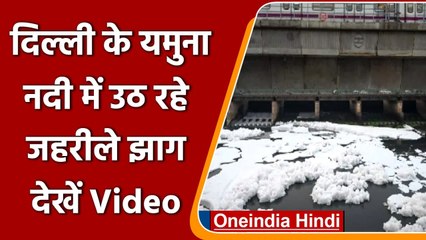 Download Video: Toxic Foam in Yamuna: Delhi Yamuna में फिर तैरता नजर आया सफेद झाग | #Short | वनइंडिया हिंदी