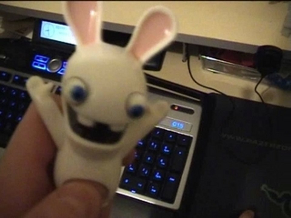 Lapin crétin
