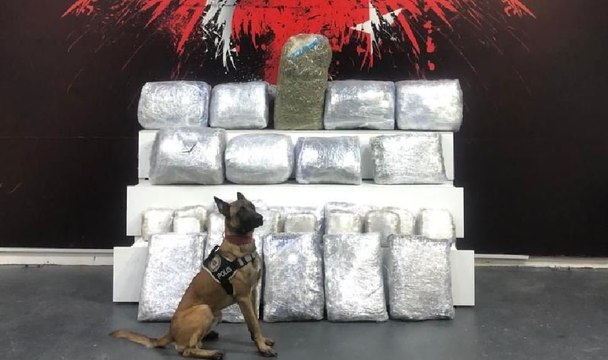 Durdurulan minibüste 106 kilo skunk yakalandı