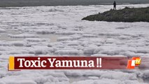 Frozen River? No, Toxic Foam Floats On Yamuna In New Delhi