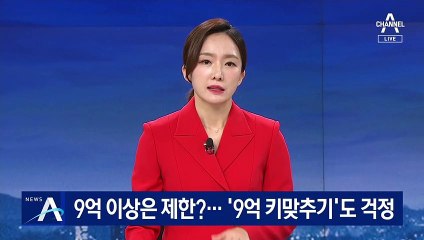 9억 이상은 전세 대출 제한?…‘키 맞추기’도 걱정
