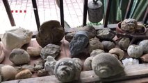 Detenido un hombre por expoliar centenares de fósiles y restos prehistóricos de yacimientos protegidos en Cataluña