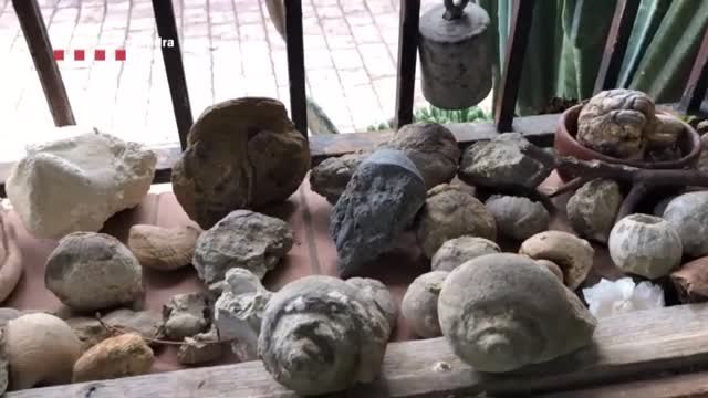 Detenido un hombre por expoliar centenares de fósiles y restos prehistóricos de yacimientos protegidos en Cataluña