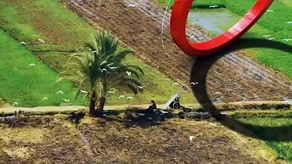 ...غوليين وتم تمثيل أربع وثلاثين دولة من ال...