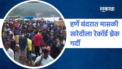 Harne: हर्णे बंदरात मासळी खरेदीला रेकॉर्ड ब्रेक गर्दी