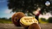 فاكهة الكوبواسو المميزة للغاية - هل تستطيع شرائها !/The very special cupuacu fruit - can you buy it!
