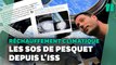 Les SOS de Thomas Pesquet sur le réchauffement climatique depuis l'ISS