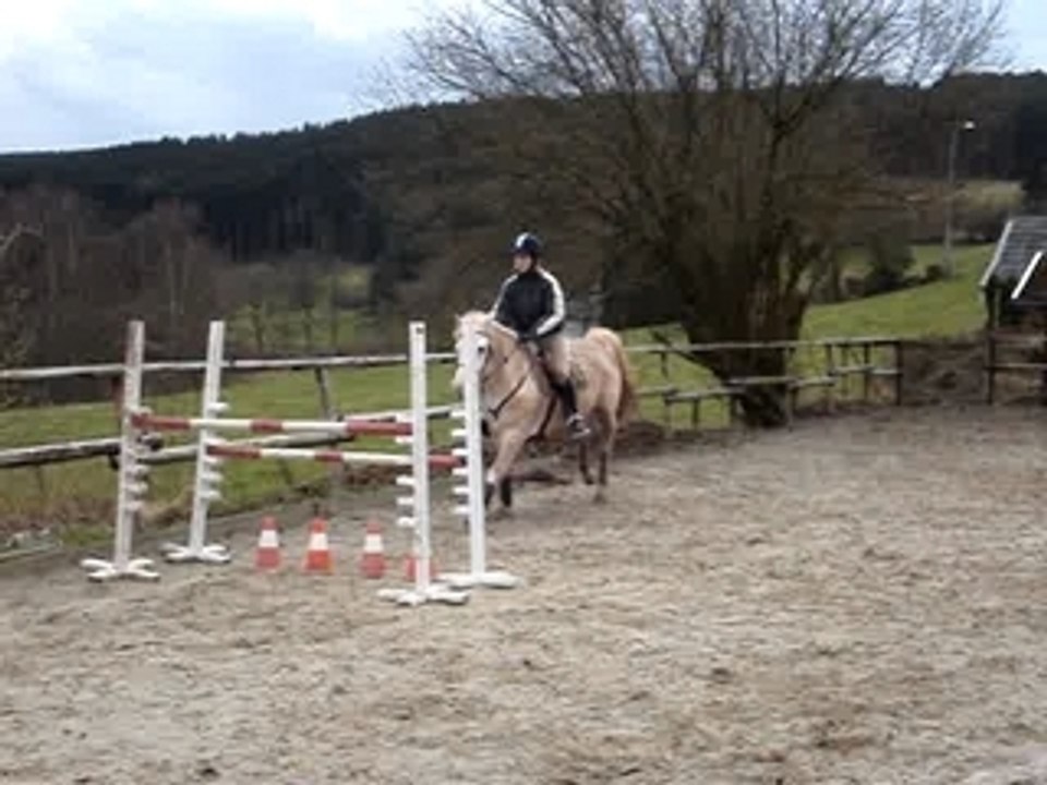 obstacle dek 1m