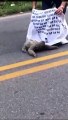 Un homme aide un paresseux à traverser une route et ce dernier semble le remercier une fois en sécurité