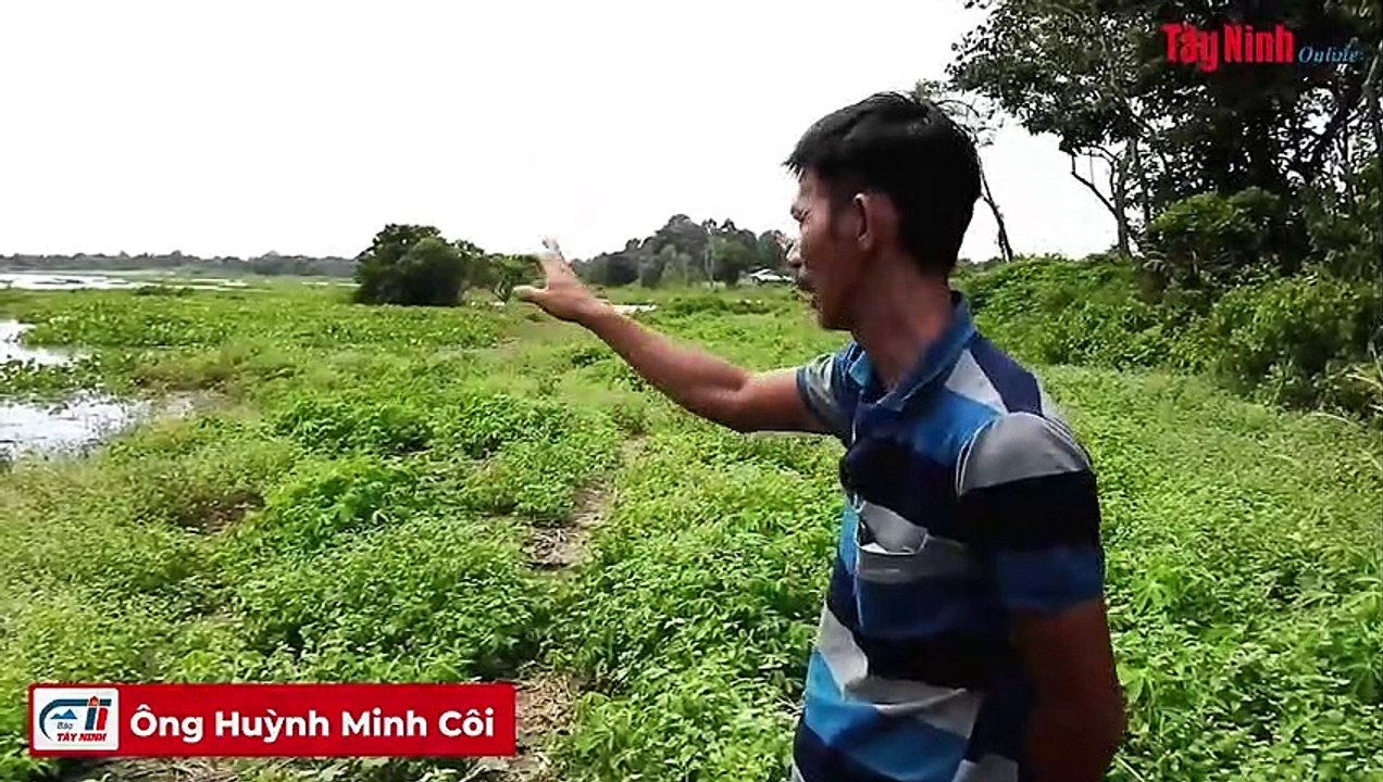 Người dân lo ngại việc khai thác cát gần bờ sông Sài Gòn gây sạt lở