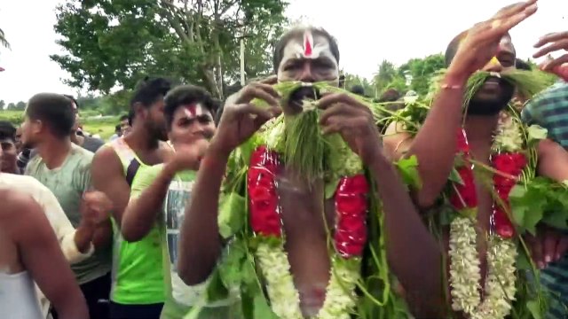 En Inde, une bataille de bouses de vache pour marquer la fin de Diwali