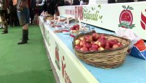 Esenler'de Amasya Elma Festivali düzenlendi