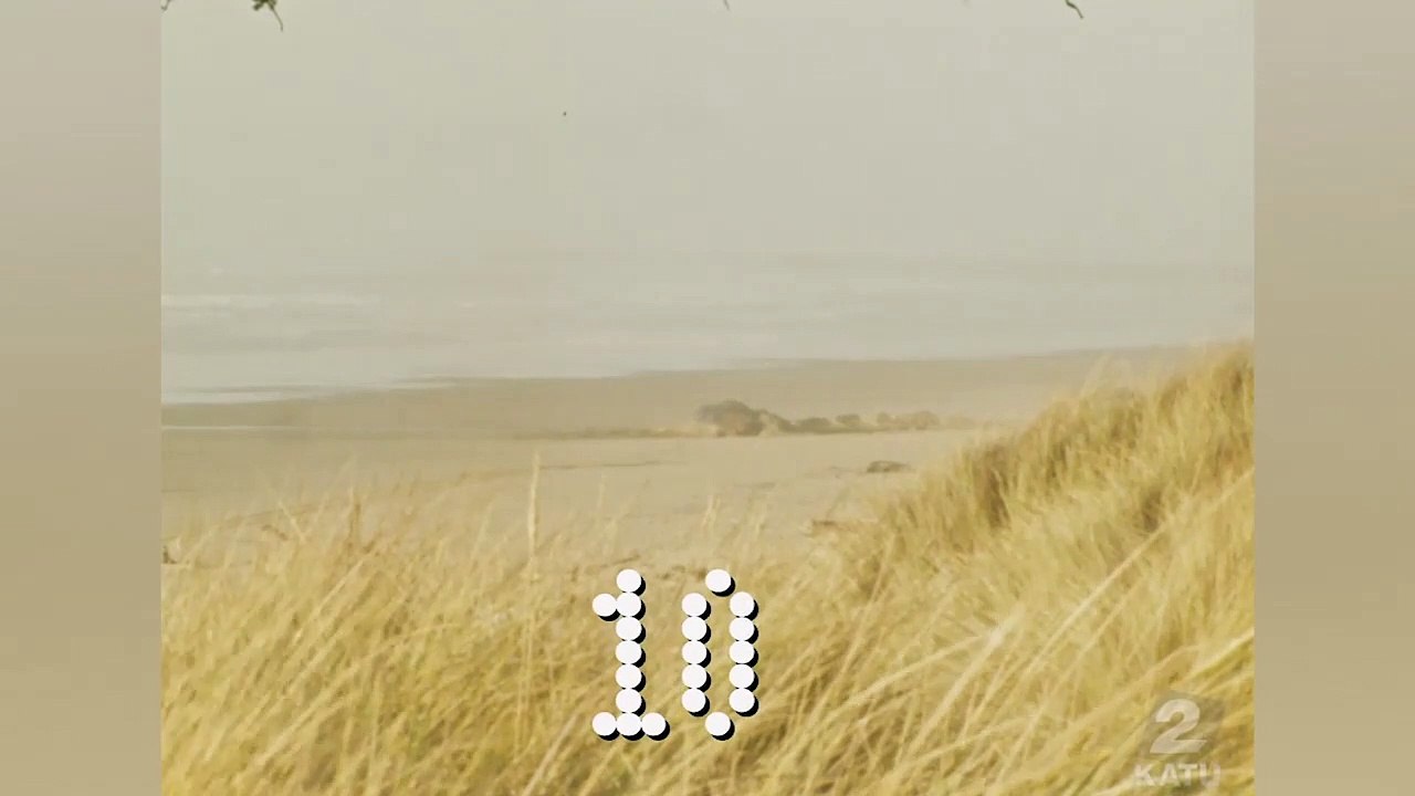 Esplosione disastrosa di una balena