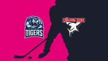 Straubing Tigers - Kölner Haie (Highlights)