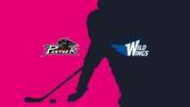 Augsburger Panther - Schwenninger Wild Wings (Highlights)
