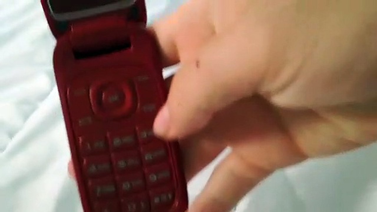 Samsung galaxy gt-1270. Startup and shutdown