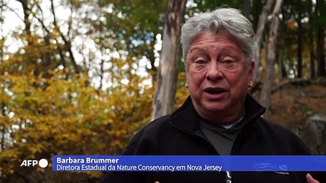 Mudança climática ameaça cores do outono