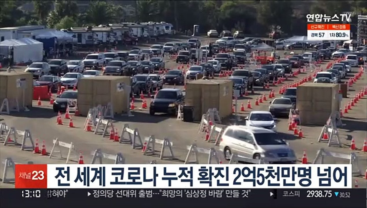 전 세계 코로나 누적 확진 2억5천만명 넘어