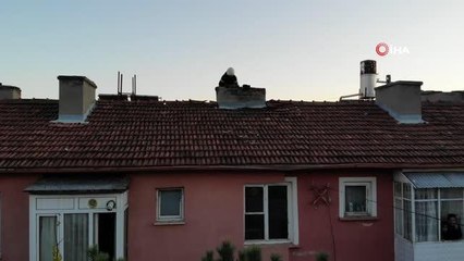 Son dakika haber | Temizlenmeyen bacalar karbonmonoksit zehirlenmesine ve yangınlara neden oluyor