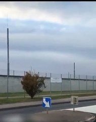 Nouvelle provocation des Daltons à Lyon qui escaladent en direct sur Instagram le mur de la prison où est enfermé le leader de leur groupe