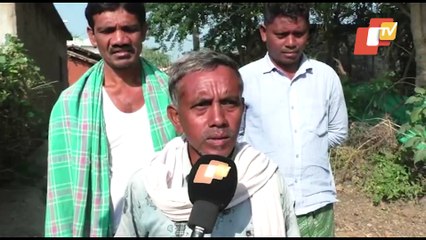 Special Story|Unemployment Stares Down This Odisha Village | Young Ones Labour, Elderly Guard Houses