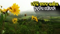 Odisha Winter Temperature Drop In Daringbadi And Koraput