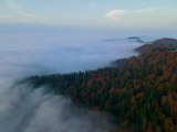 (DRONE) Çam Dağı'nda sis, sonbahar renkleriyle bütünleşti