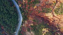 BALIKESİR - Domaniç Dağları ve Kazdağları'nda rengarenk sonbahar